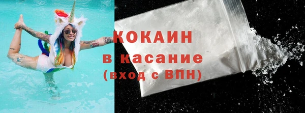 индика Заволжск