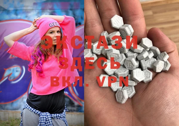 спиды Ельня
