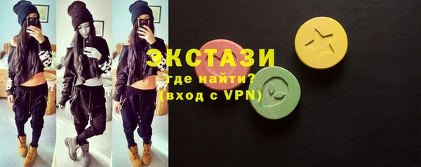 спиды Ельня