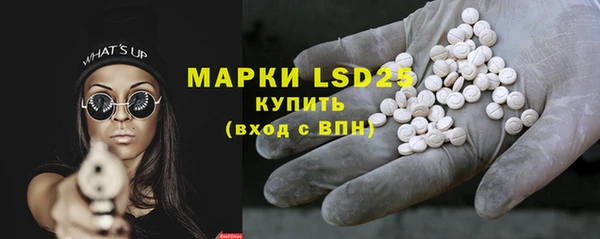 индика Заволжск