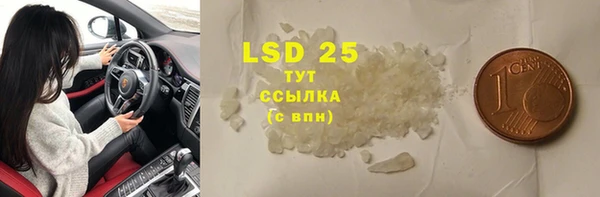 индика Заволжск