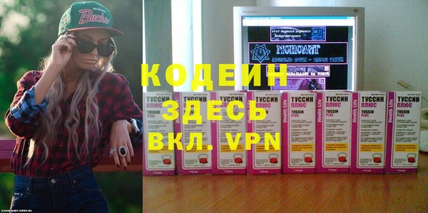 индика Заволжск