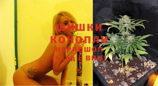прущие крисы Заводоуковск