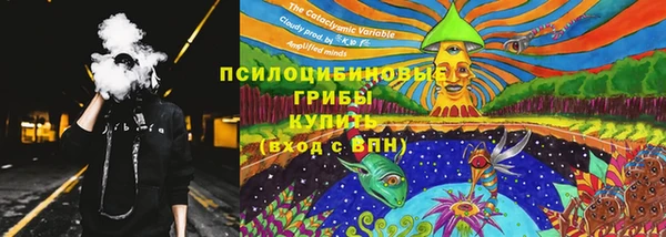 МДПВ Елабуга