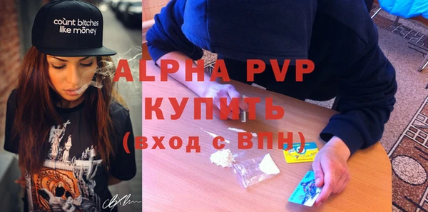 индика Заволжск