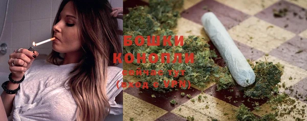 прущие крисы Заводоуковск