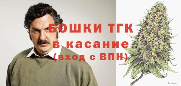сатива Елизово