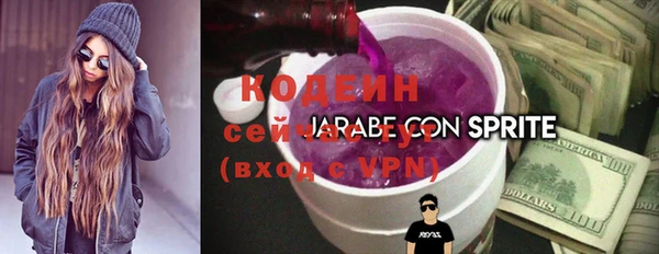 индика Заволжск
